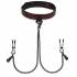 Fifty Shades of Grey Sweet Anticipation Collar Nipple Clamps